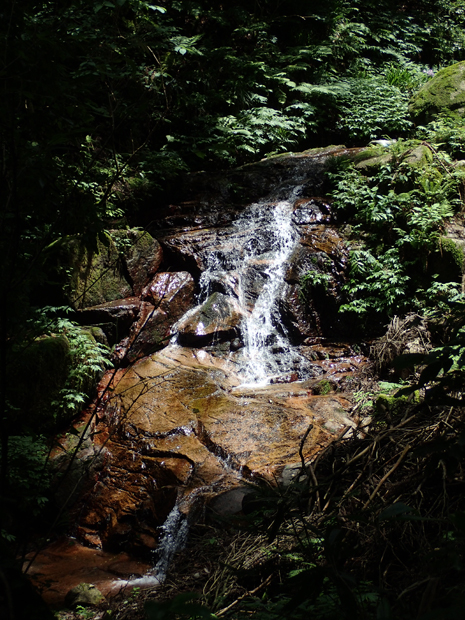 f0214649_5334994.jpg
