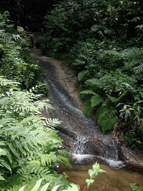 f0214649_534788.jpg