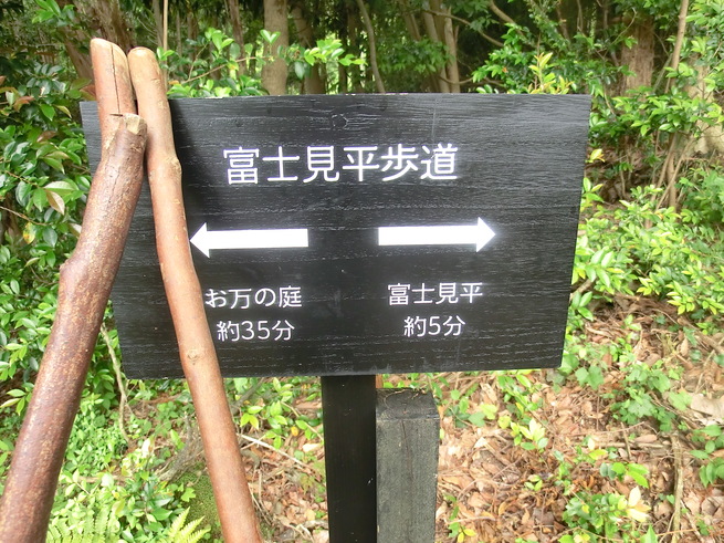 d0212451_2024856.jpg