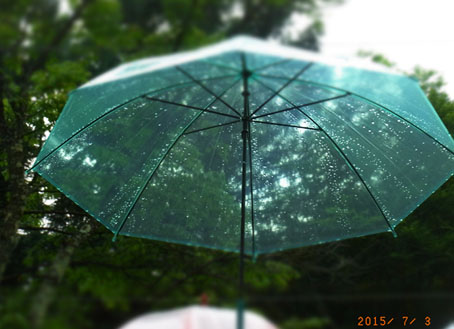 b0075364_1128864.jpg