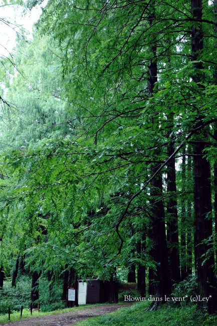 f0251765_15401383.jpg
