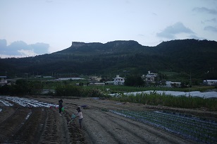 f0226293_757549.jpg