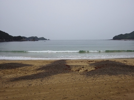a0125598_21530983.jpg