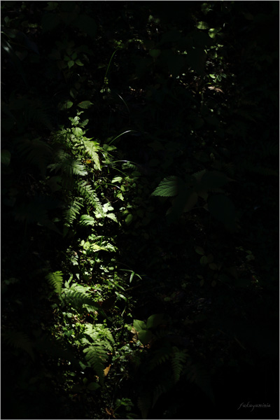 f0185802_2253116.jpg