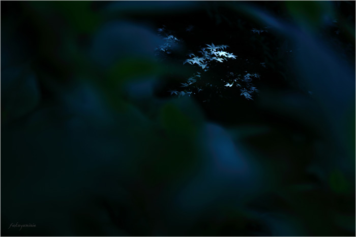 f0185802_22535153.jpg