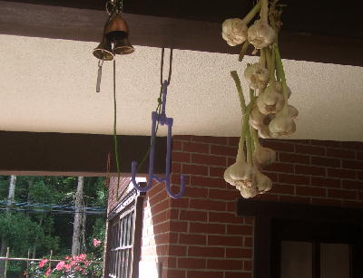 f0161708_22525024.jpg