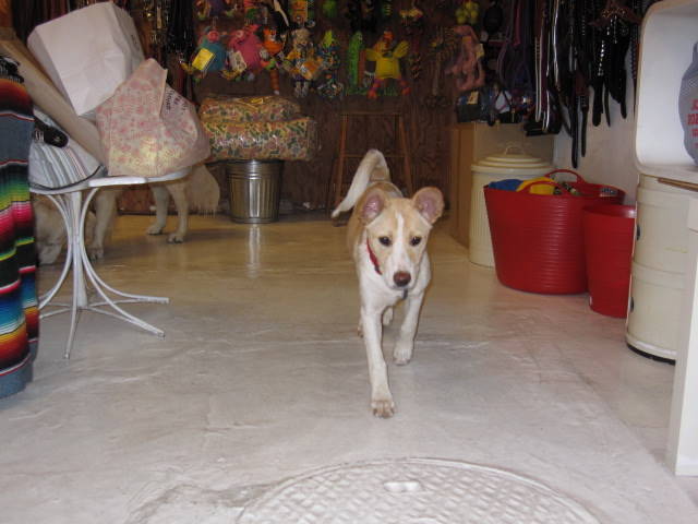 f0327308_18461917.jpg