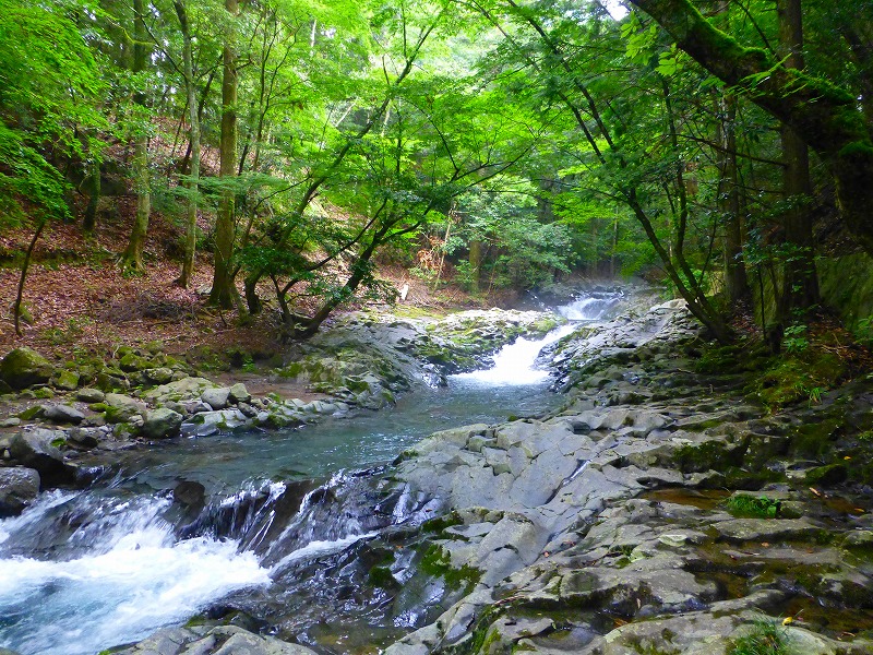f0182513_175068.jpg