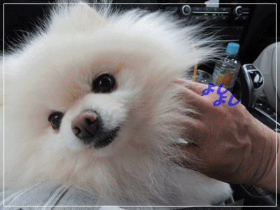 b0167519_753641.gif