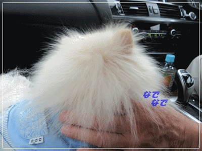 b0167519_754982.gif