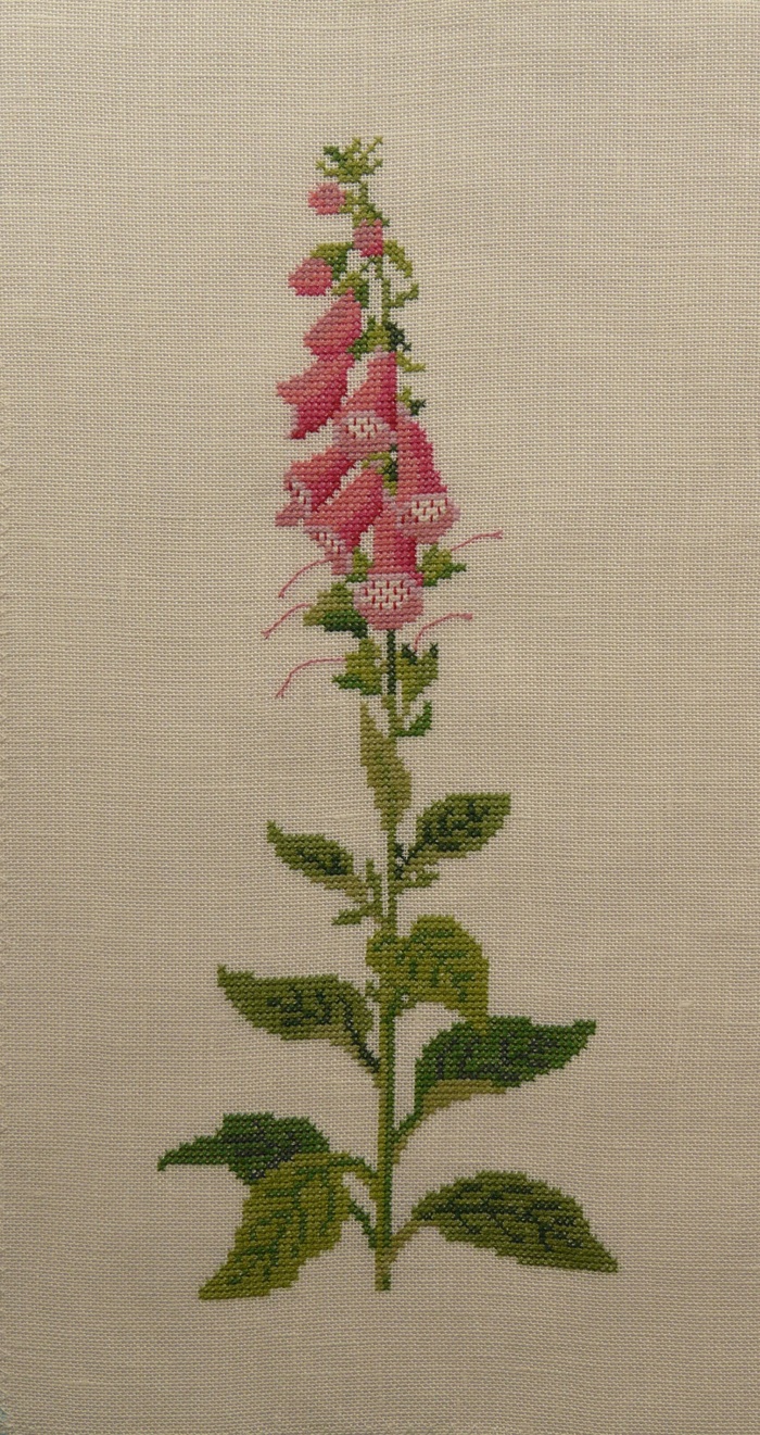 b0286321_16164040.jpg