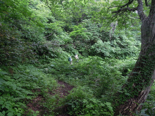 e0147226_22241872.jpg