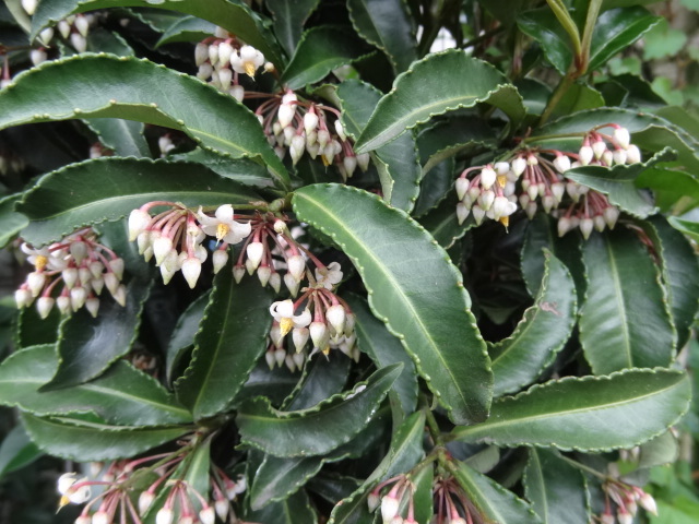 e0016828_17364184.jpg