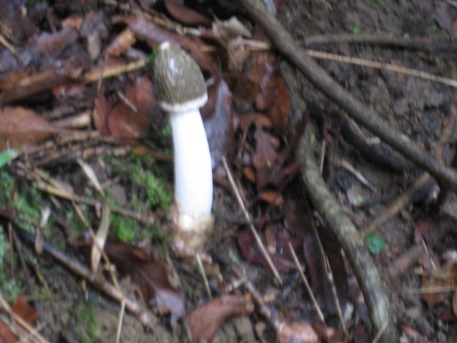 c0077338_183407.jpg