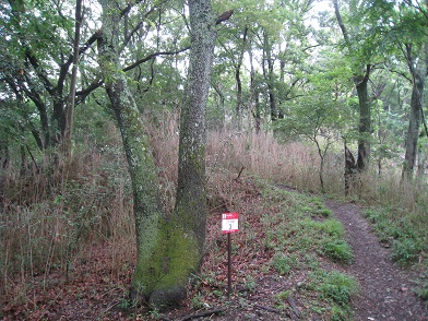 c0077338_18341387.jpg