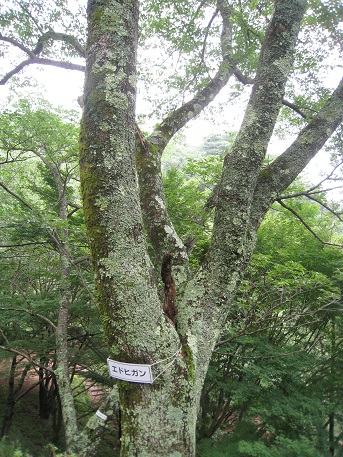 c0077338_18374463.jpg