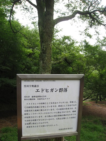 c0077338_18375664.jpg