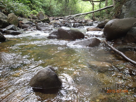 a0203841_22483970.jpg