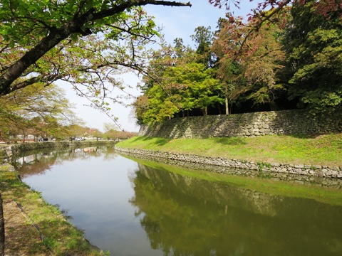 f0202151_19521490.jpg