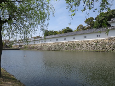 f0202151_2011113.jpg