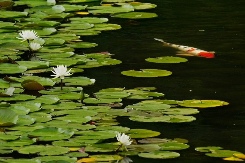 e0229455_16495495.jpg