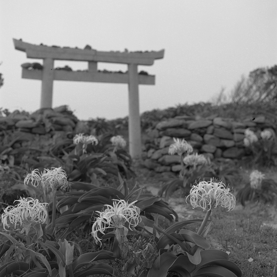 e0264158_11205821.jpg