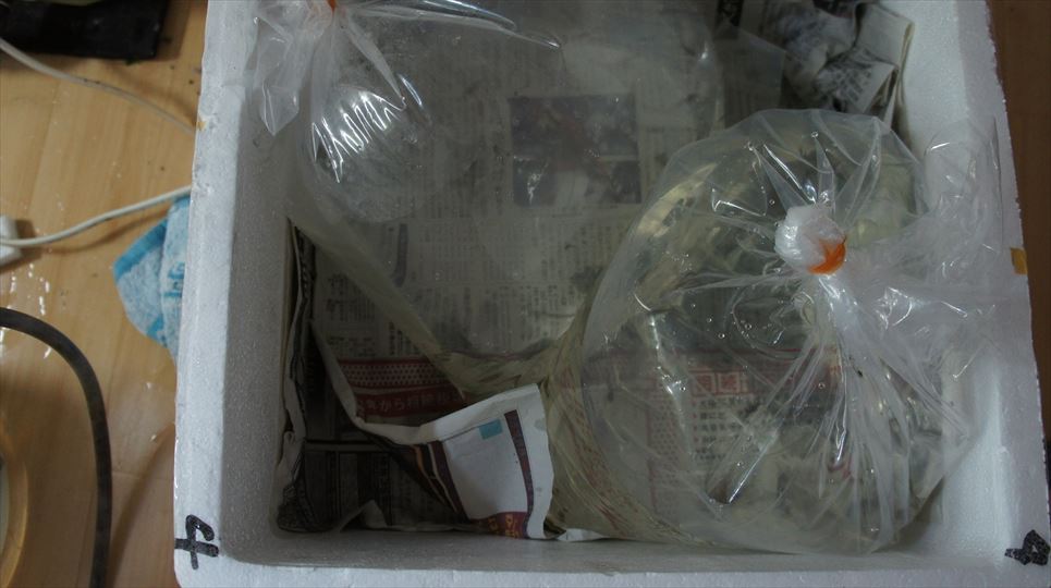 d0205262_13503715.jpg