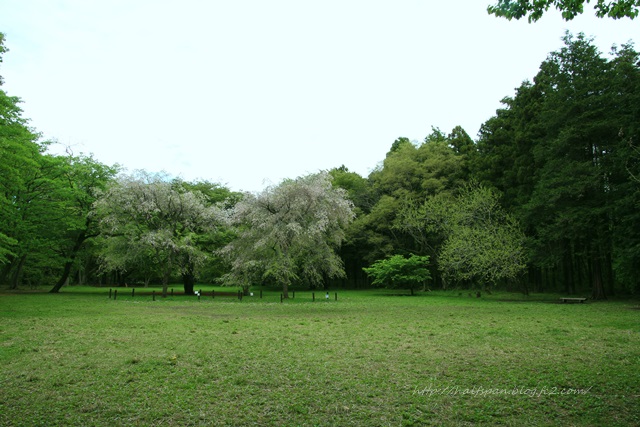 e0351168_20560147.jpg