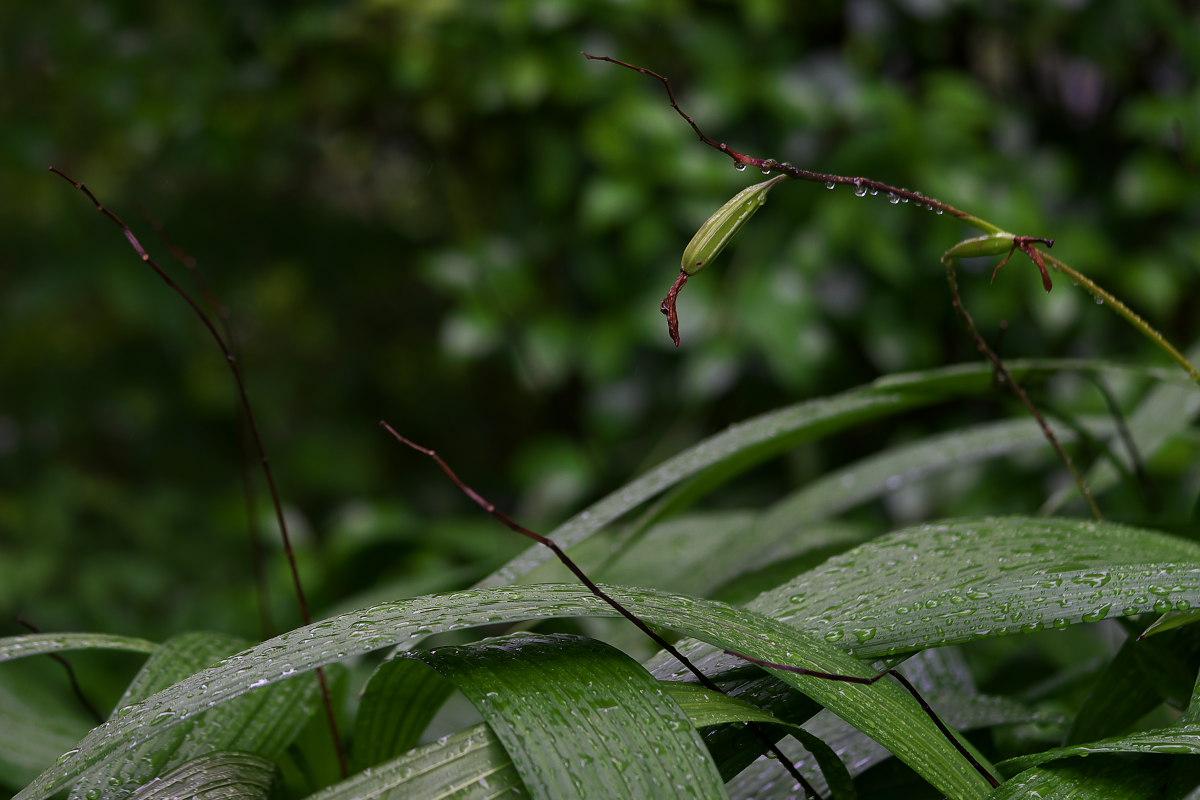 a0083081_11254481.jpg