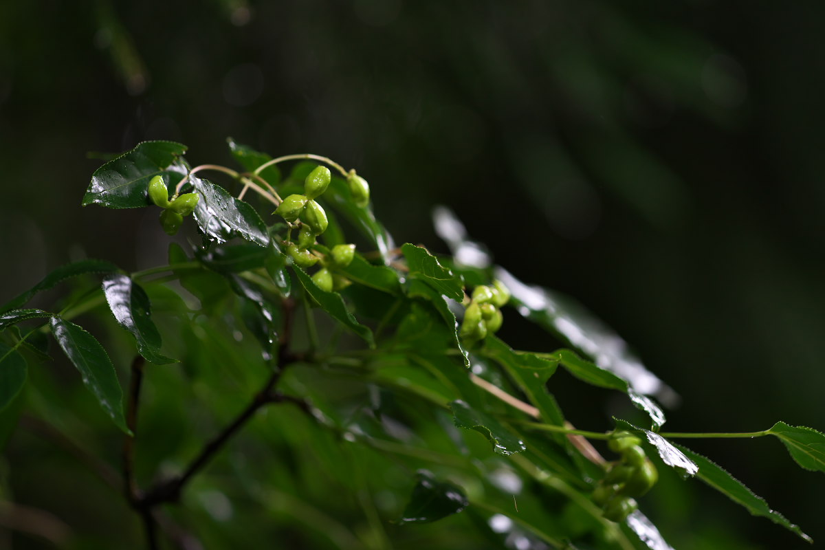 a0083081_11301833.jpg