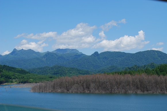 a0133886_13105657.jpg