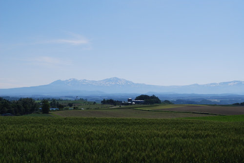 a0133886_1382924.jpg