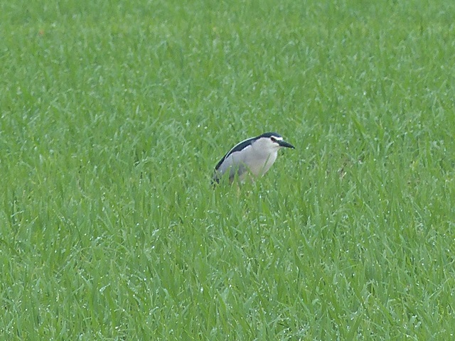 f0357487_2205484.jpg