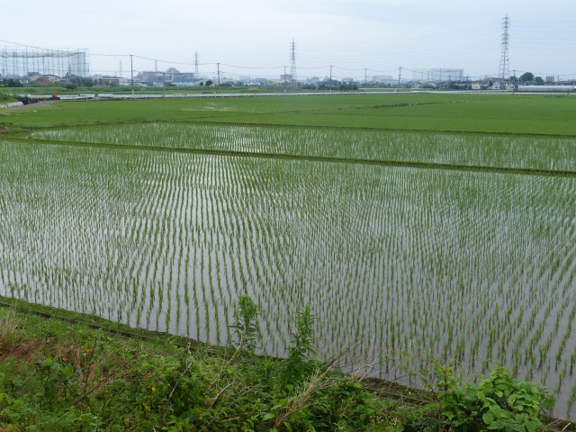 f0357487_2223568.jpg