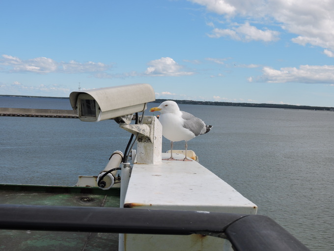 e0241093_9253610.jpg