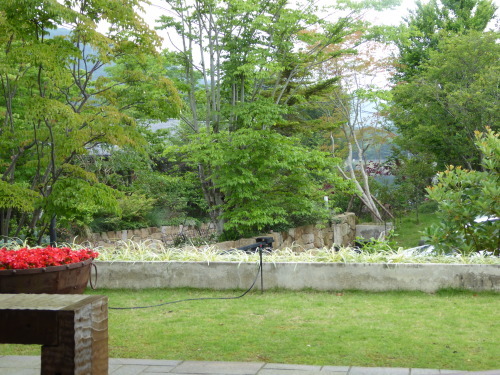 b0321595_22171742.jpg