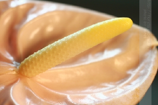 f0083400_23355443.jpg