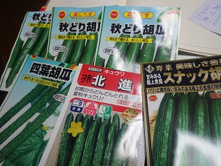 c0280206_634183.jpg