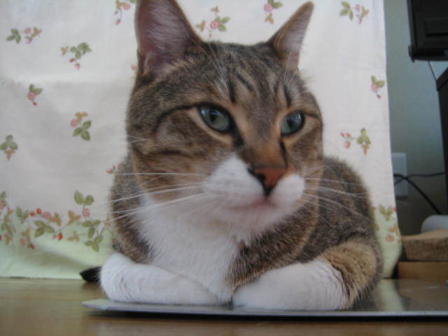 f0316507_10142460.jpg