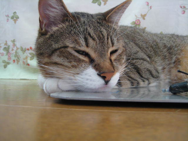f0316507_10143557.jpg