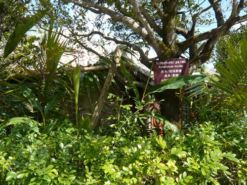 f0221708_164818.jpg