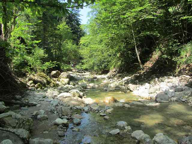c0167813_634849.jpg