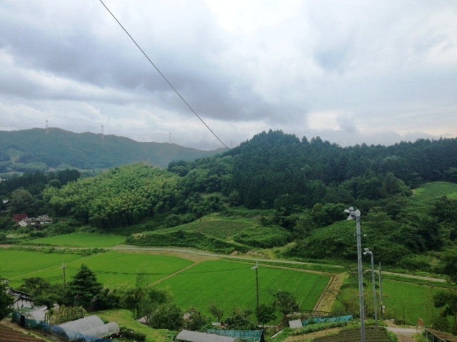 d0007913_12175489.jpg