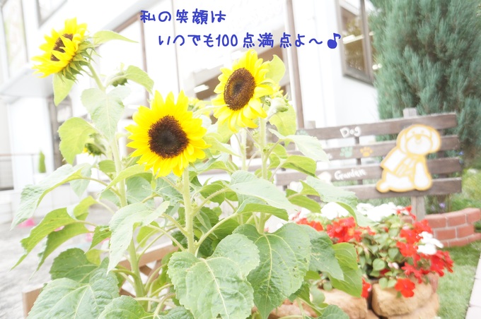 d0220513_1552420.jpg