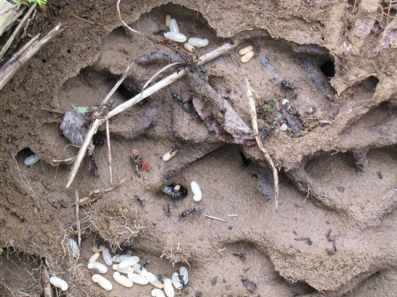 d0103314_23481440.jpg