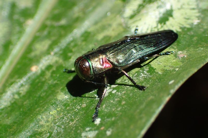 c0369423_14323977.jpg