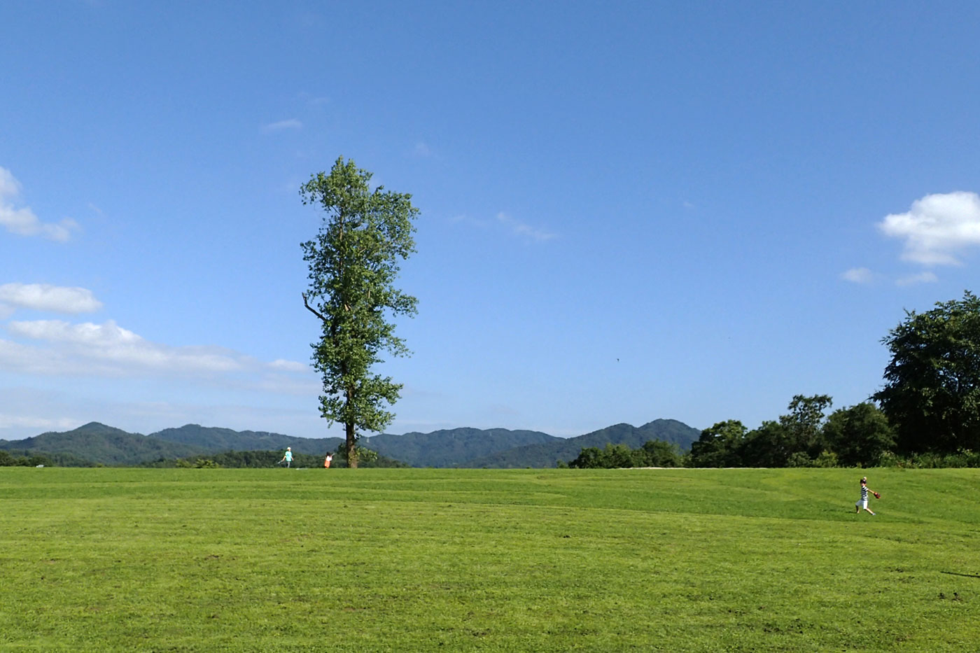 c0064025_17183126.jpg