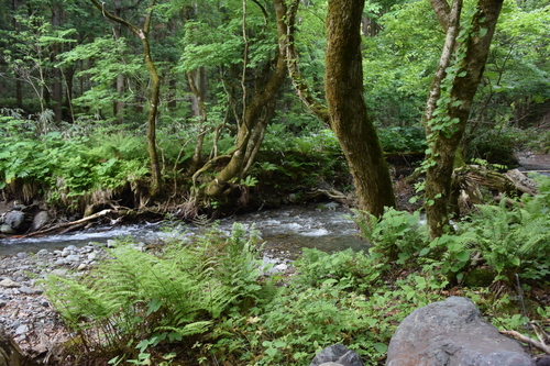 b0195927_22531993.jpg