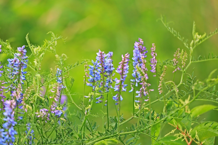 c0104227_11564090.jpg
