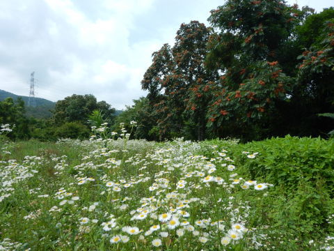 f0118332_22140310.jpg